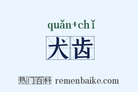 犬齿是什么意思的图片